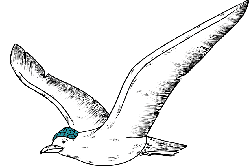 Eine gezeichnete Möwe mit ausgebreiteten Flügeln fliegt nach rechts. Sie trägt eine kleine, blau-gemusterte Mütze auf dem Kopf. Der Hintergrund ist einfarbig weiß.