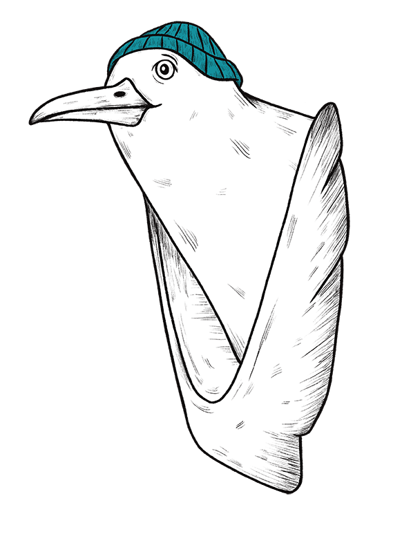 Zeichnung einer Möwe in einem simplen Schwarz-Weiß-Stil mit einem blauen Strickmützchen auf dem Kopf. Die Möwe hat gefaltete Flügel.