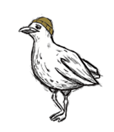 Ein gezeichnetes Bild eines stehenden Vogels, der nach links schaut. Der Vogel trägt eine kleine, braune Mütze. Der Hintergrund ist weiß.